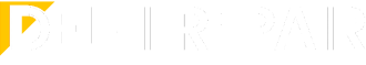Delhi Repair service